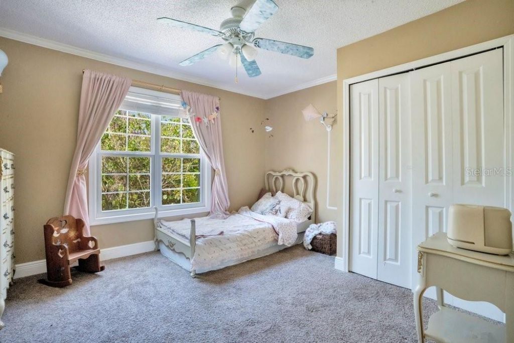 3858 Shore Boulevard, Oldsmar, FL 34677 Photo