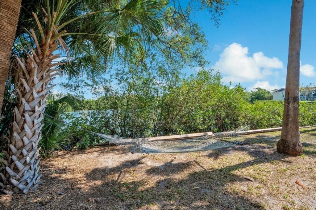 3858 Shore Boulevard, Oldsmar, FL 34677 Photo