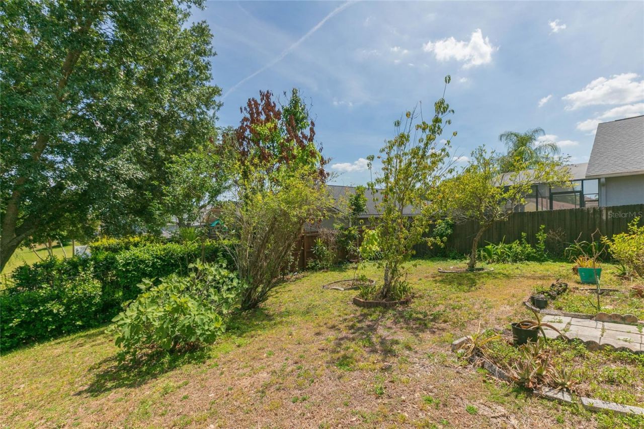22704 Roderick Drive , Land O Lakes, FL 34639 Photo
