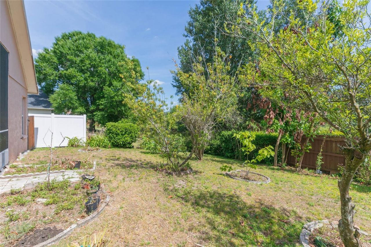 22704 Roderick Drive , Land O Lakes, FL 34639 Photo