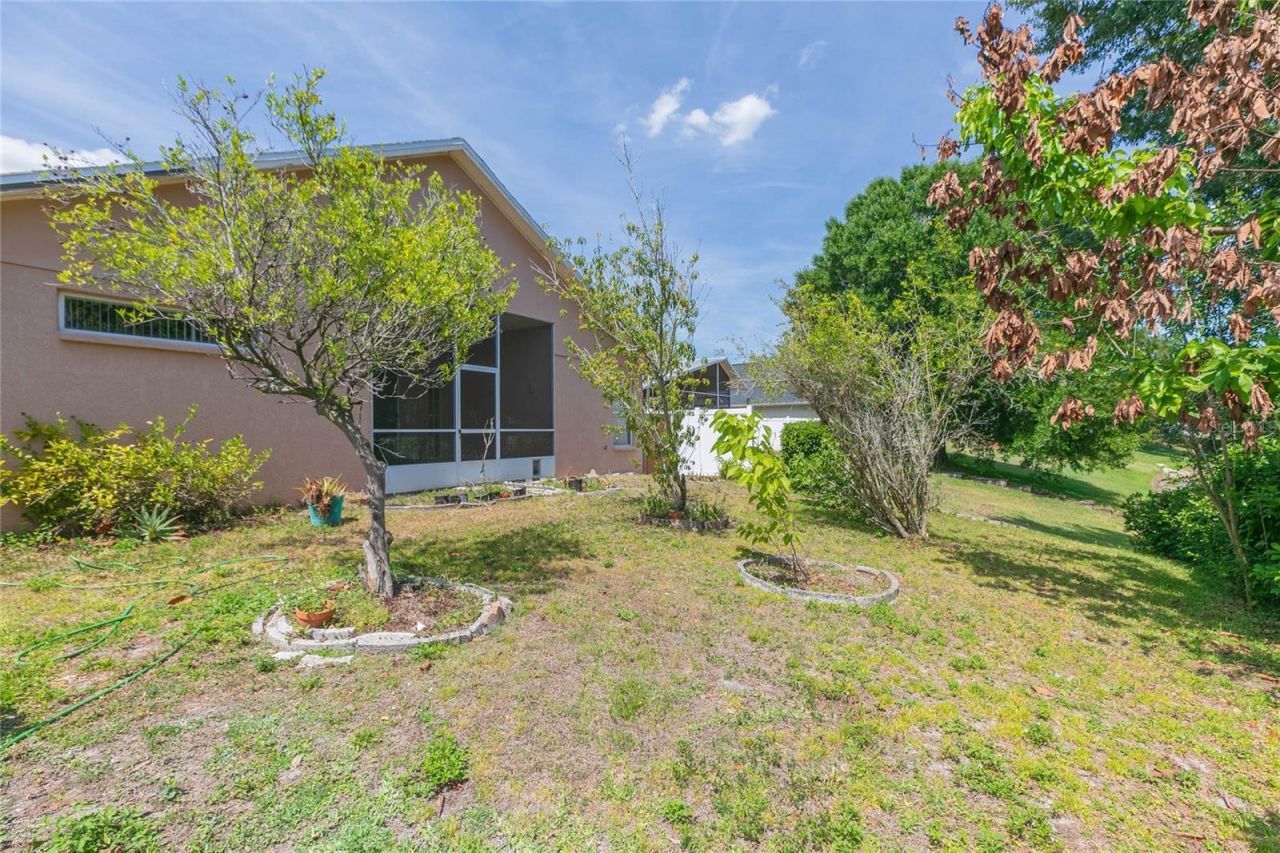 22704 Roderick Drive , Land O Lakes, FL 34639 Photo