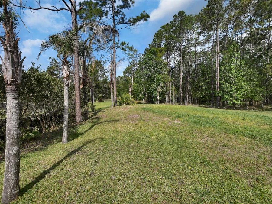 Property Image 58