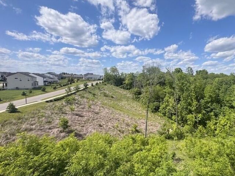 2420 Arezzo Street, Fort Mitchell, KY 41017 Photo 22
