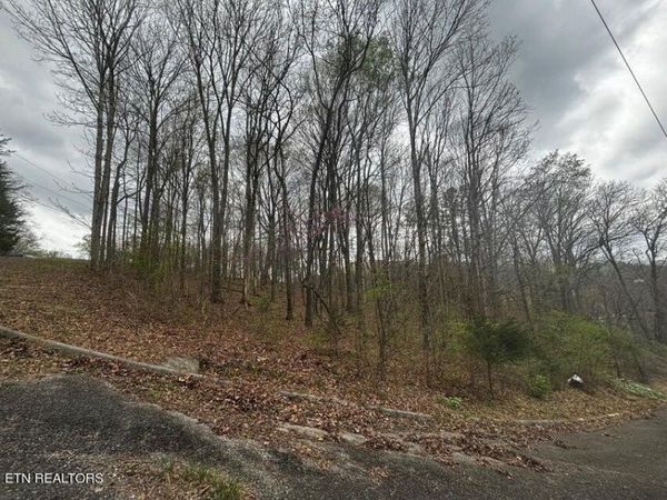 0000 Co Rd 197 , Athens, TN 37303