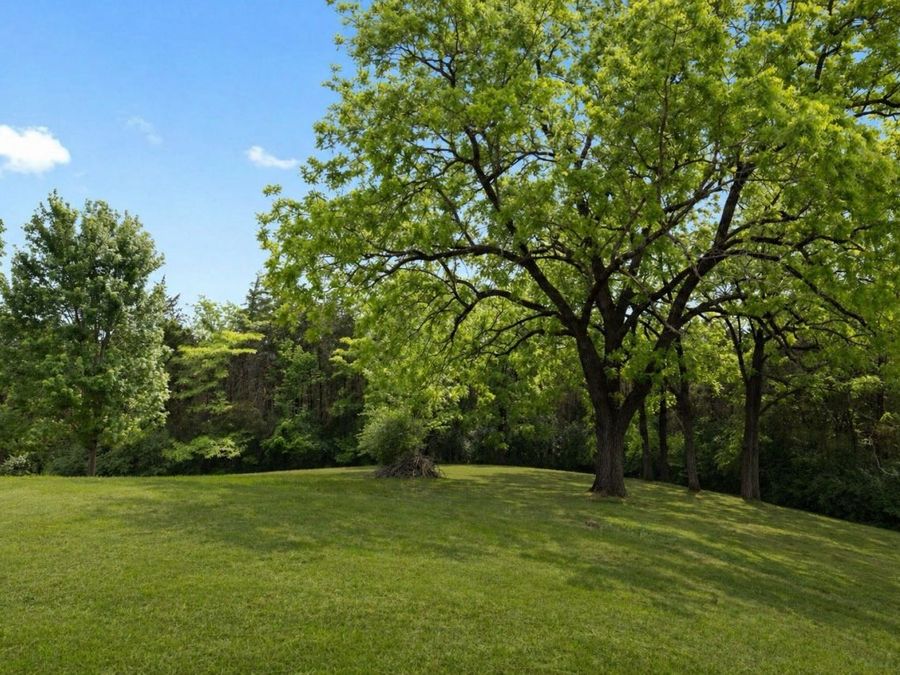 Property Image 82