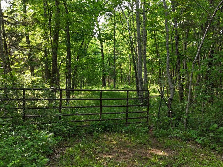 Property Image 6