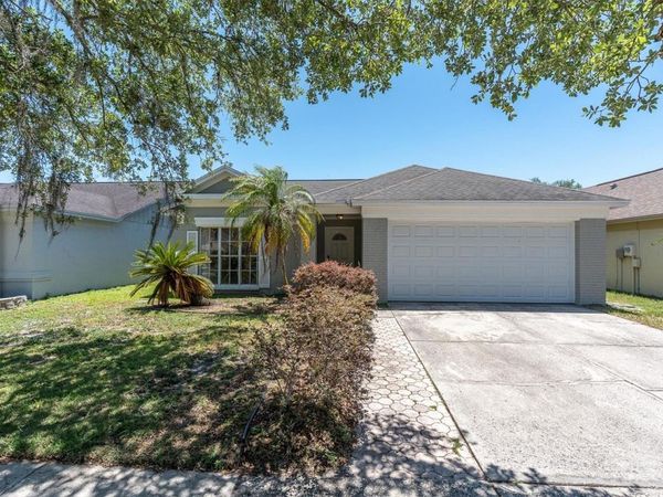 9735 CYPRESS SHADOW AVENUE , TAMPA, FL 33647