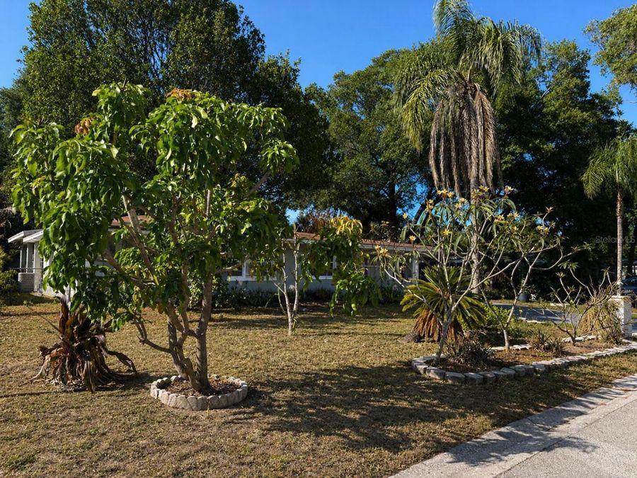 Property Image 60