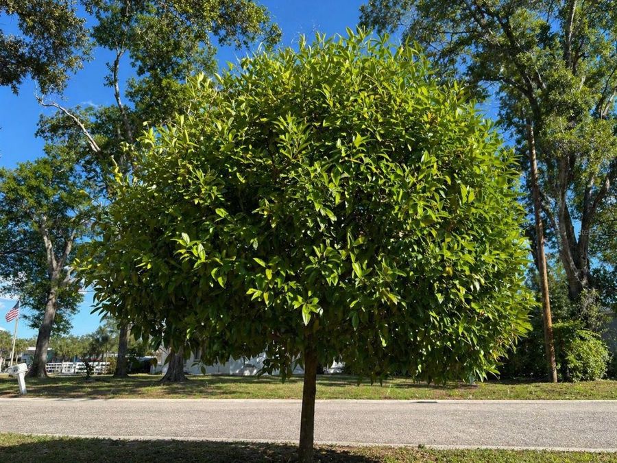 Property Image 65