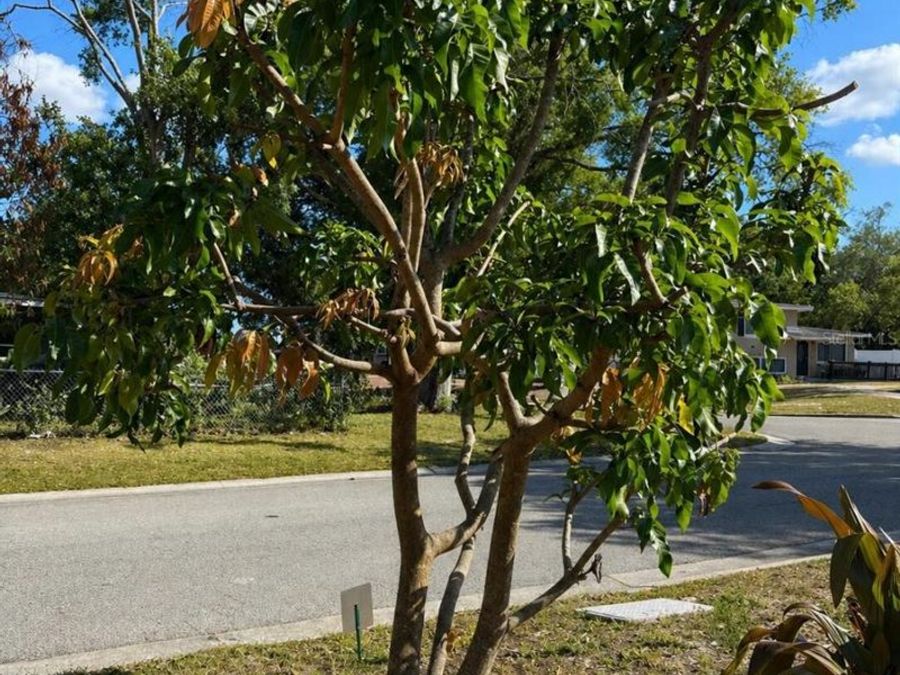Property Image 69