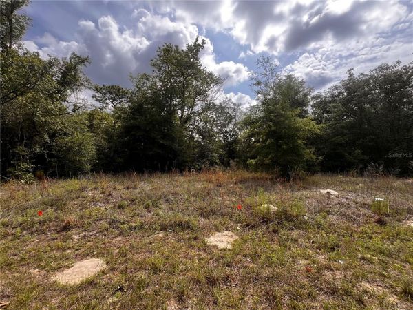 7095 N FOXDALE DRIVE , CITRUS SPRINGS, FL 34434