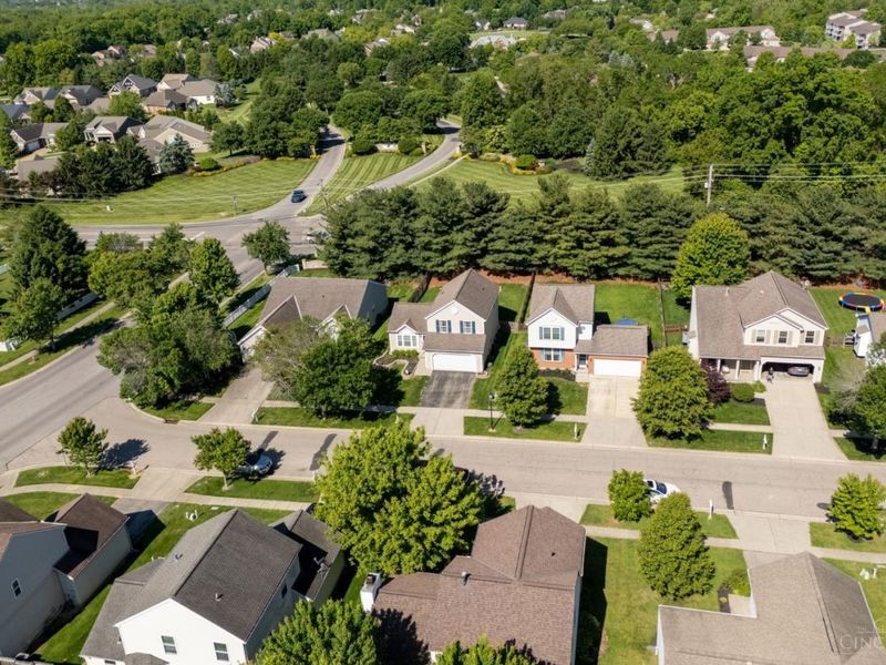 1172 Wild Flower Lane, Maineville, OH 45039 Photo 29