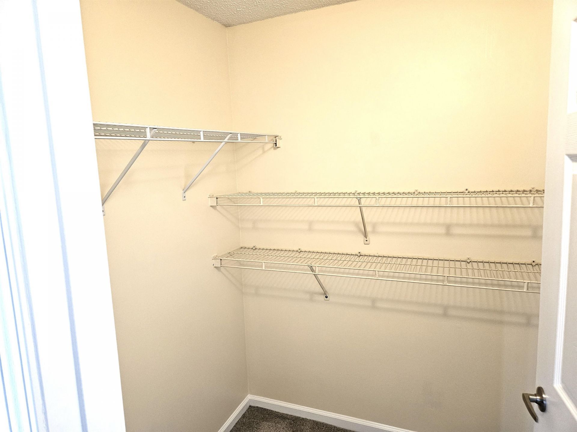 3741 Block House Way Photo 20