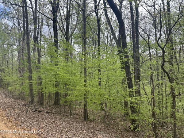 Tanyard Road, Hernando, MS 38632