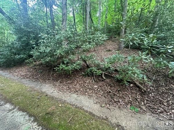 TBD Glen Cannon Drive , Pisgah Forest, NC 28768