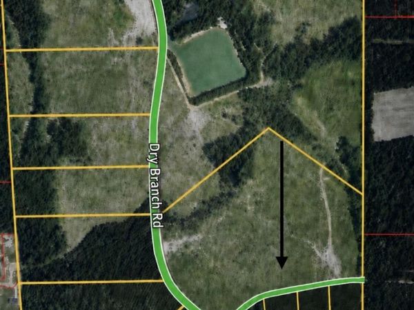 Tract #1 Dry Branch Road, Steens, MS 39766
