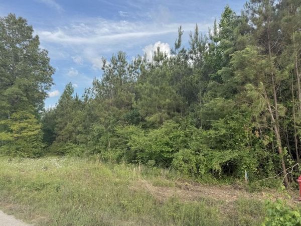 Tract #1 Dry Branch Road, Steens, MS 39766