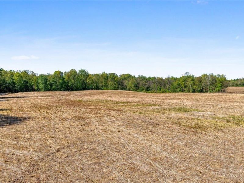 8598 W Deadfall Road, Hillsboro, OH 45133 Photo 24