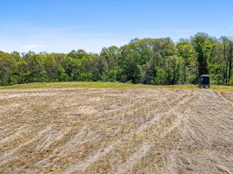 8598 W Deadfall Road, Hillsboro, OH 45133 Photo 27
