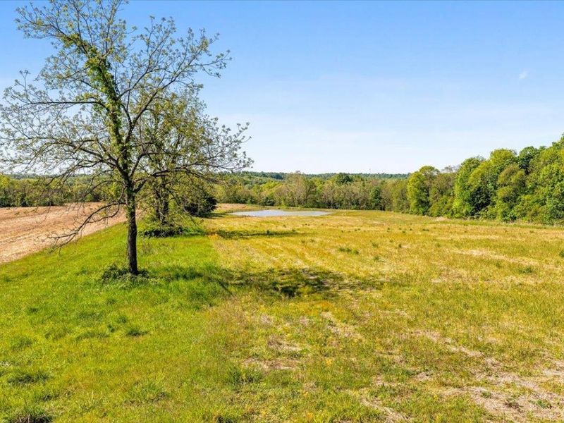8598 W Deadfall Road, Hillsboro, OH 45133 Photo 28