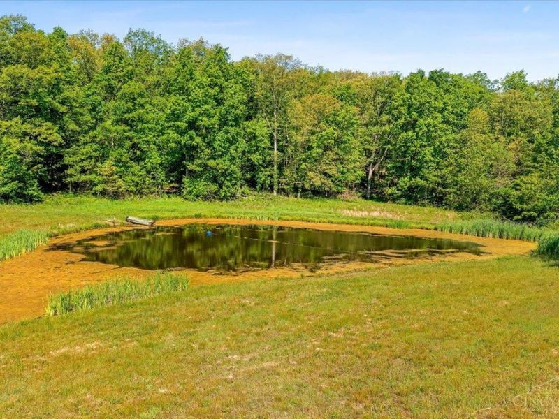 8598 W Deadfall Road, Hillsboro, OH 45133 Photo 36
