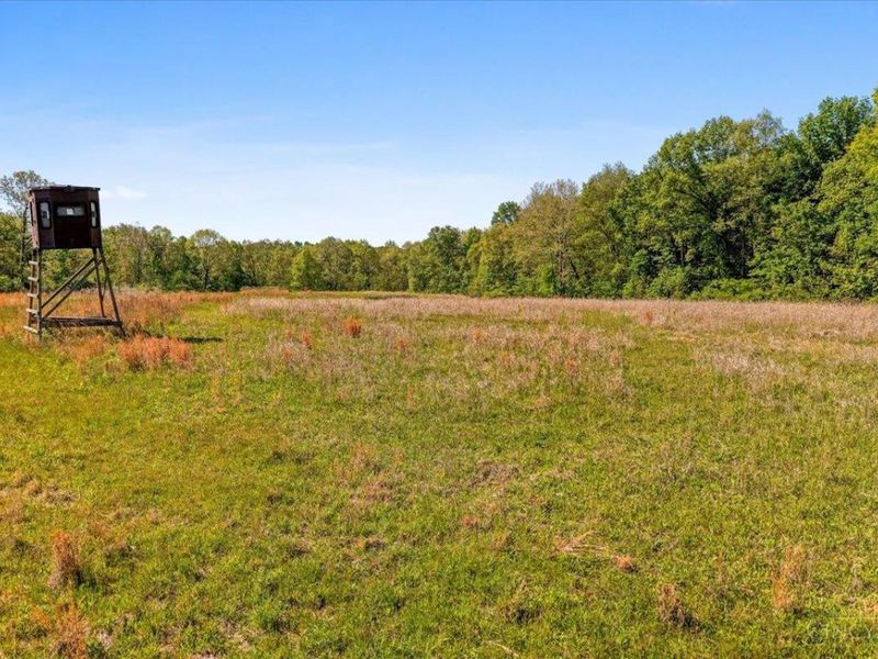 8598 W Deadfall Road, Hillsboro, OH 45133 Photo 37