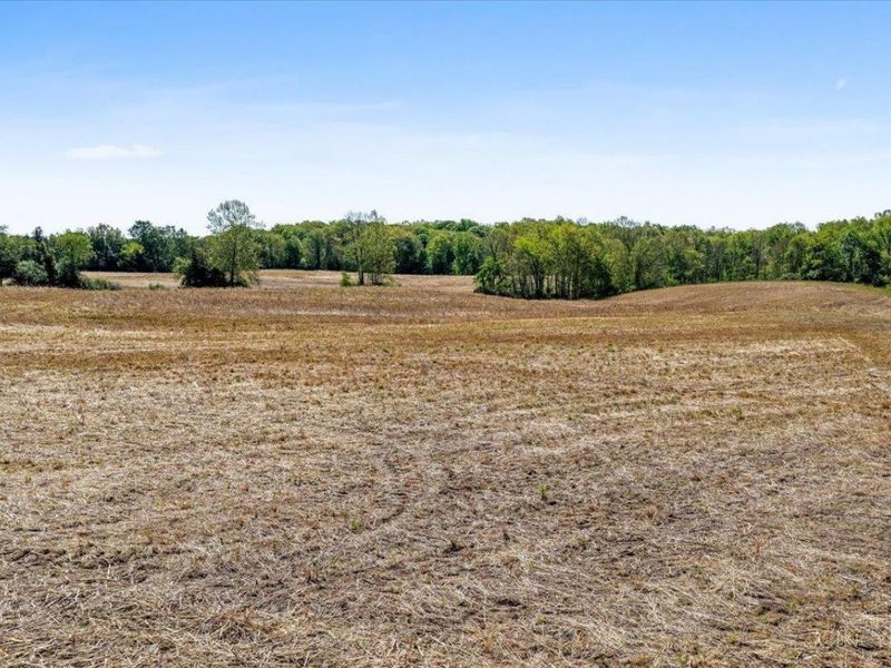 8598 W Deadfall Road, Hillsboro, OH 45133 Photo 43