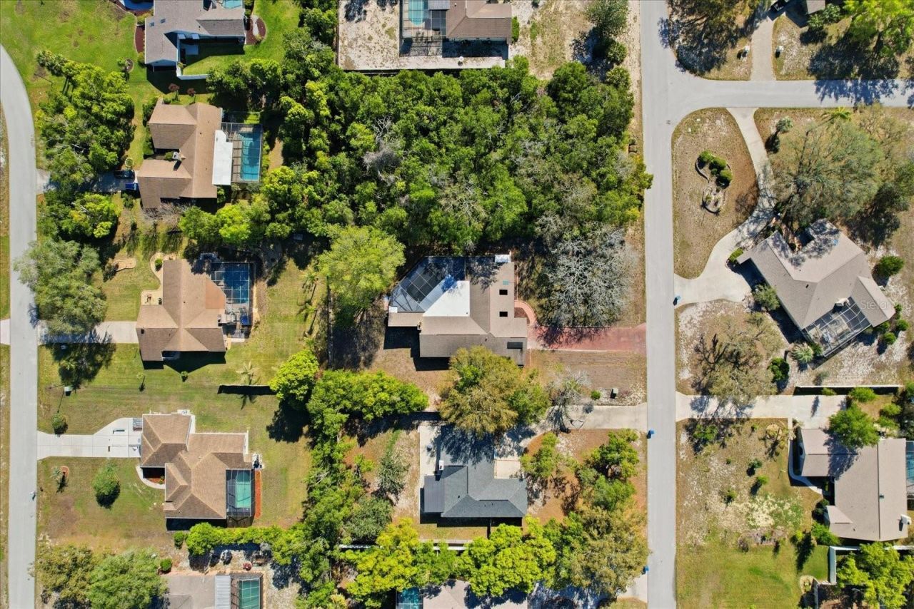8464 Delaware Drive , Spring Hill, FL 34607 Photo