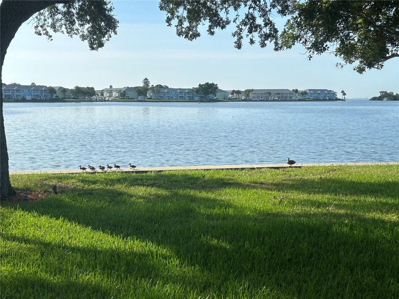 4838 Paradise Way S, Saint Petersburg, FL 33705 Photo