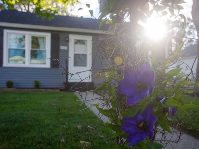 515 Hawthorne Avenue, London, OH 43140 Photo 2