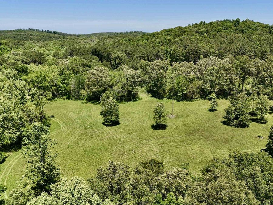 Property Image 31