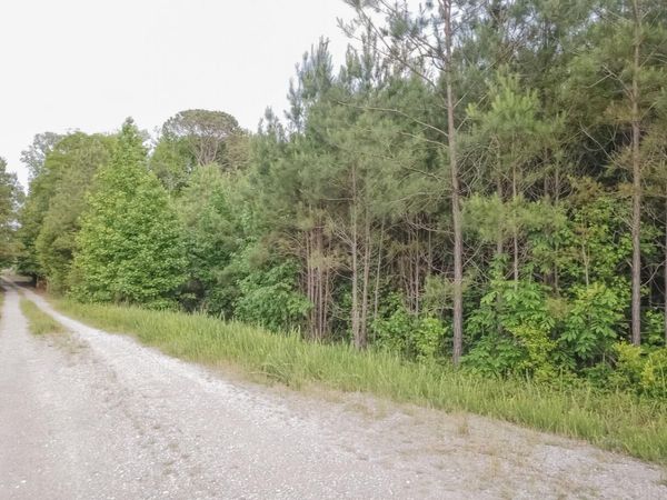 Tract #3 Dry Branch Road, Steens, MS 39766