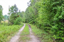 581 Roberts Rd.  photo 4