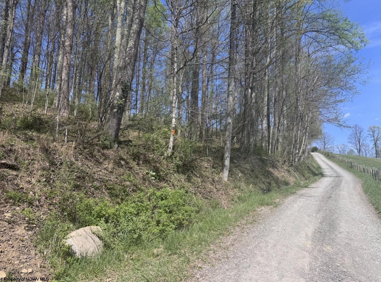 Lot 1 White Road, Moatsville, WV 26405 Main Photo