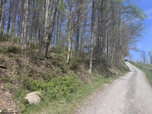 Lot 1 White Road, Moatsville, WV 26405
