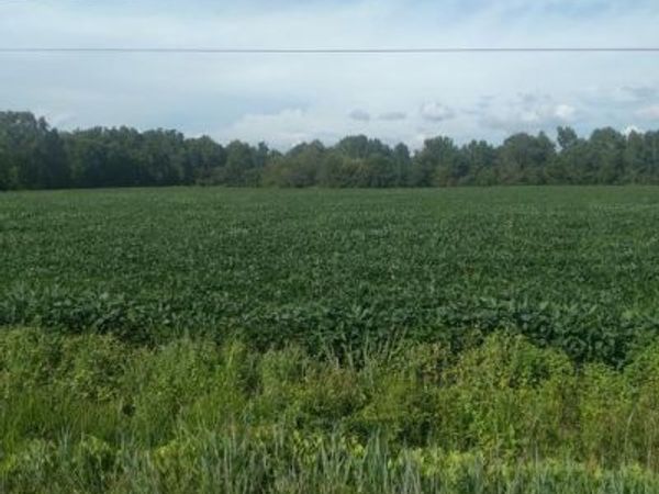 LOT 84 MITCHELL ROAD, BLOXOM, VA 23308