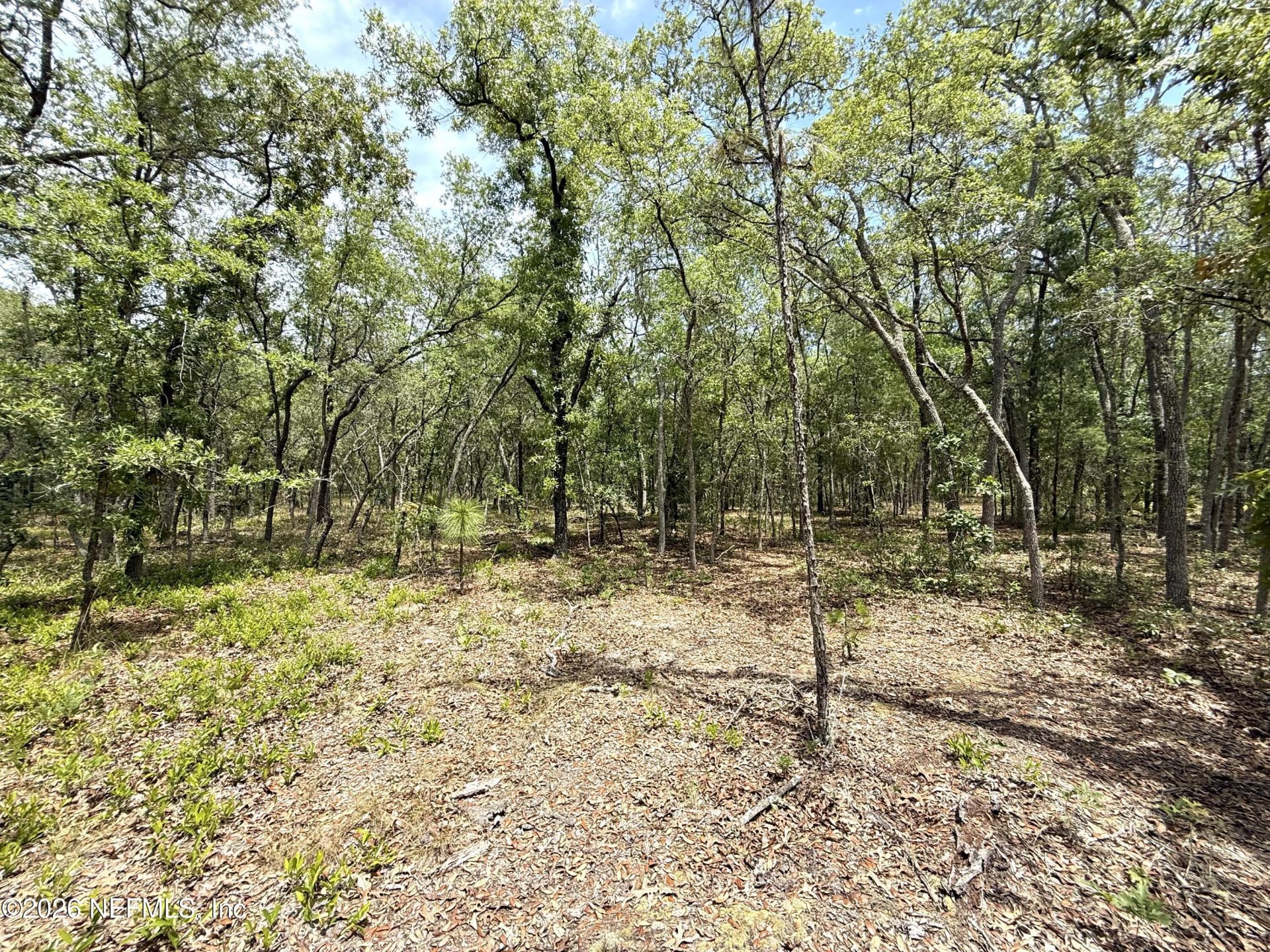 110 Witt Avenue, Hollister, FL 32147 Photo