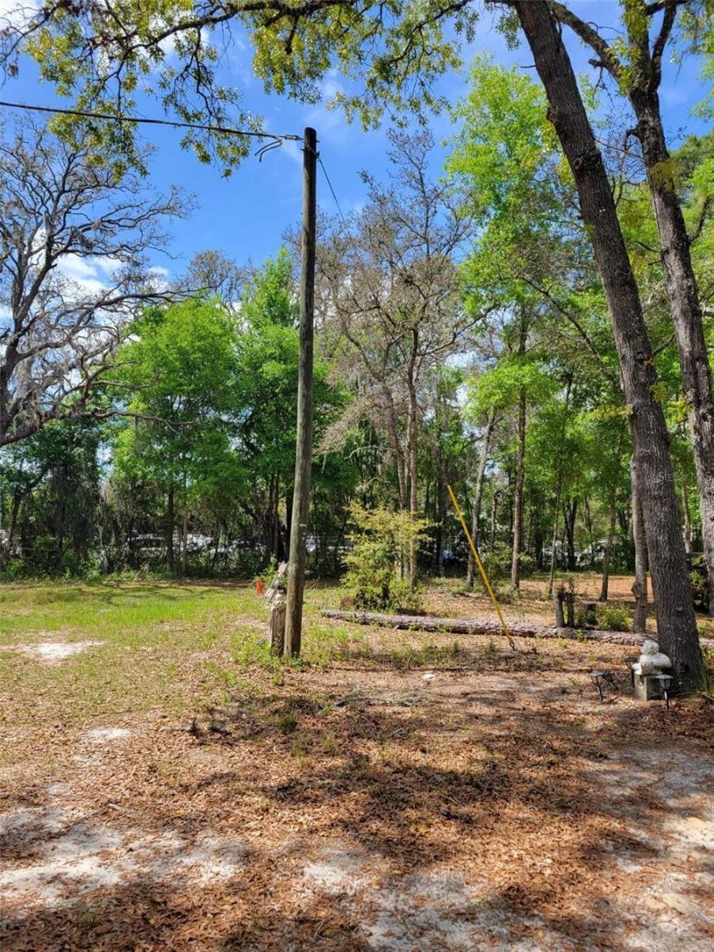 Please Call For Address, Belleview, FL 34420 Photo