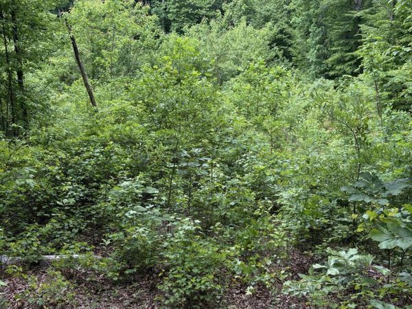 225 Hollow Road , Whitwell, TN 37397