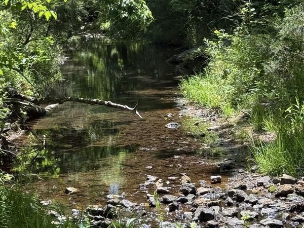 00 Old Union Road , Imboden, AR 72434