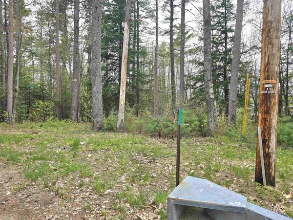 Lot 260 Thompson Road, Conway, NH 03860