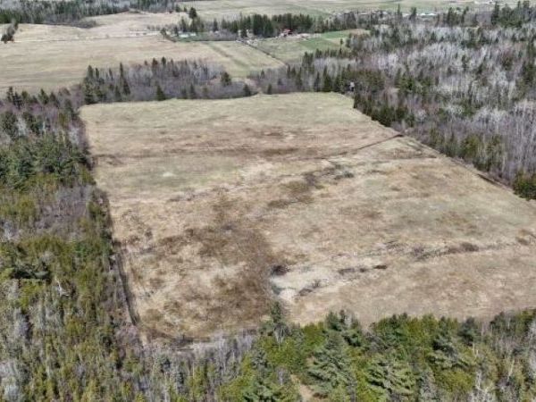 2651 Campbell Road, Cheboygan, MI 49721