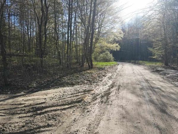 TBD Cosier Road, East Jordan, MI 49727