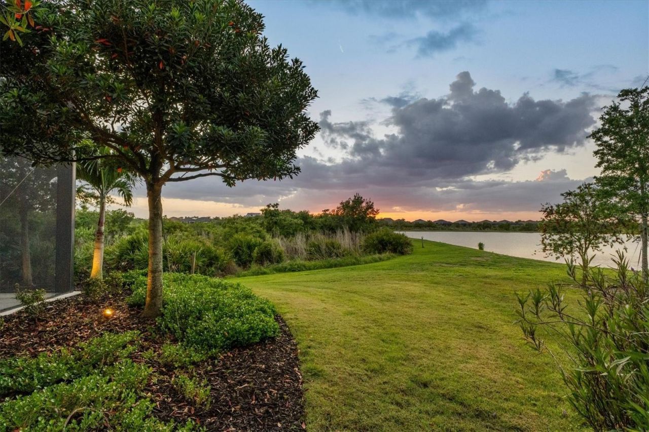 16925 Clearlake Avenue, Lakewood Ranch, FL 34202 Photo