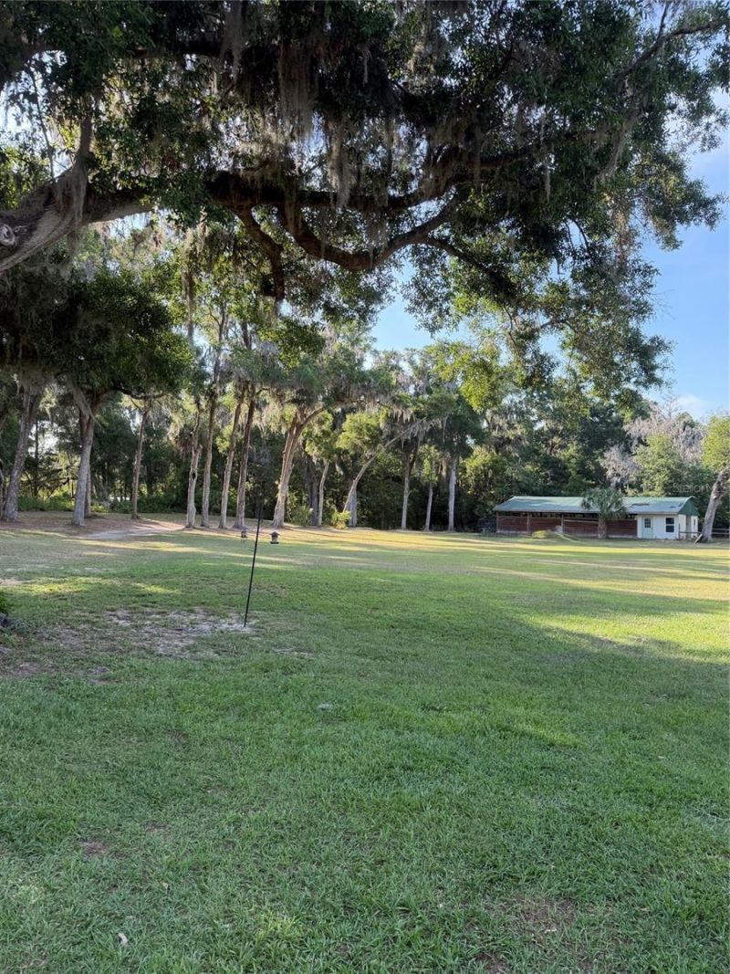 13551 NE 14th Avenue, Citra, FL 32113 Photo