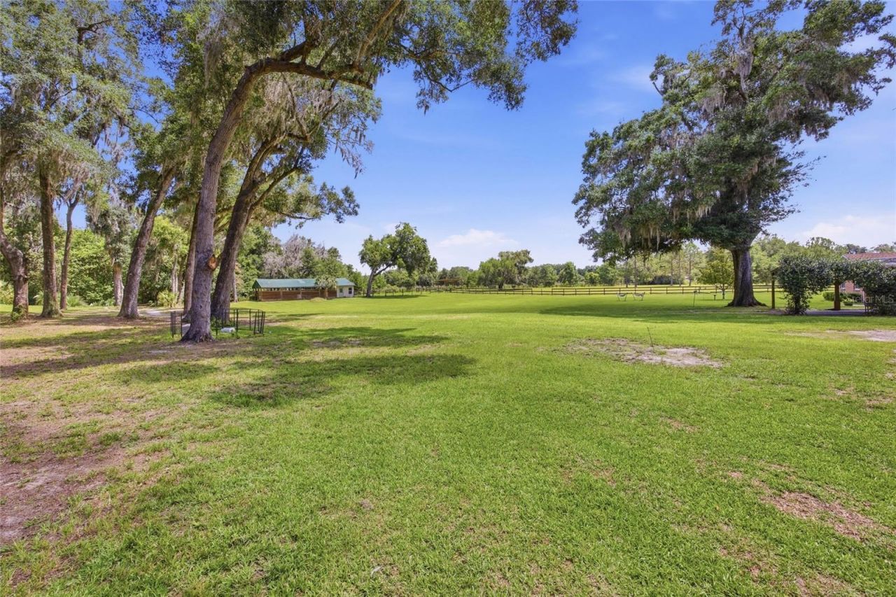 13551 NE 14th Avenue, Citra, FL 32113 Photo