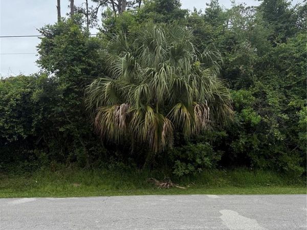 15 PEPPER LANE , PALM COAST, FL 32164
