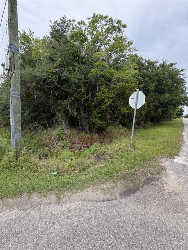 158 E Cracker Swamp Road, East Palatka, FL 32131 Photo
