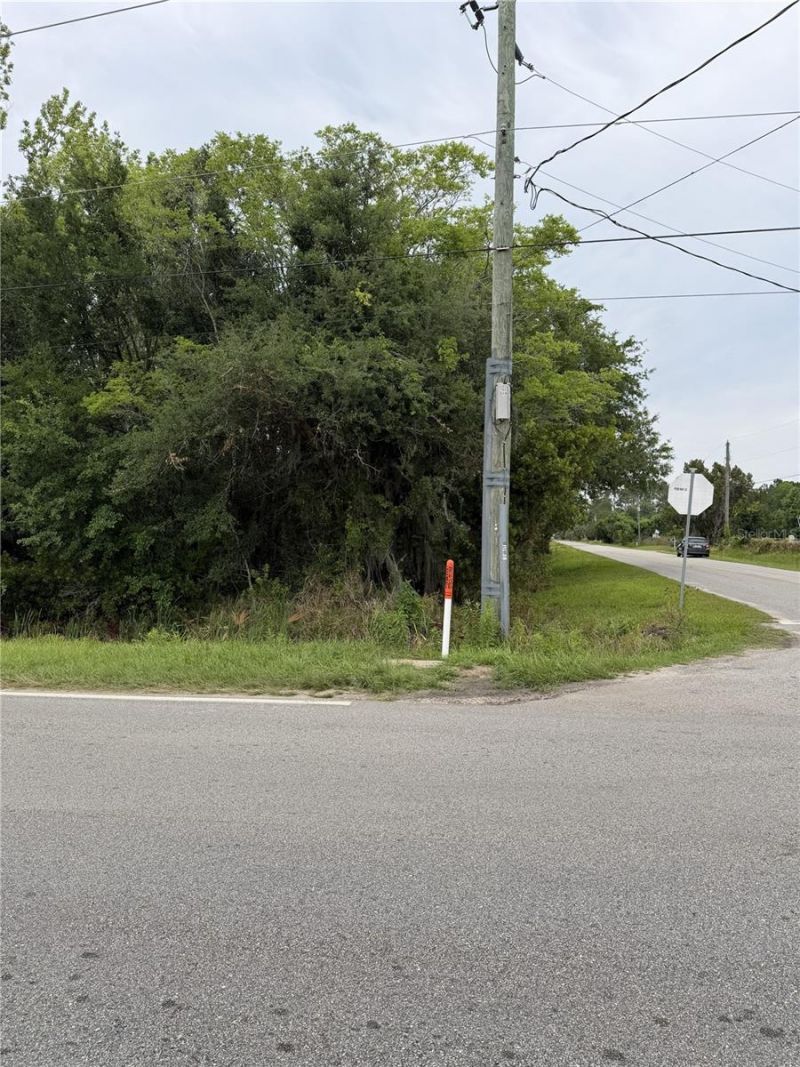 158 E Cracker Swamp Road, East Palatka, FL 32131 Photo