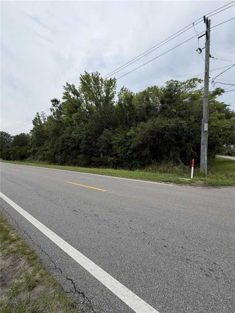 158 E Cracker Swamp Road, East Palatka, FL 32131 Photo